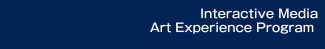 Interactive Media Art Experience Program